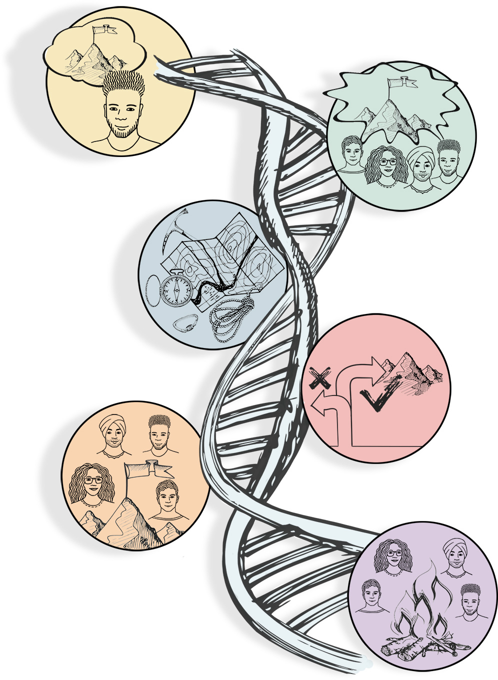 Team groei traject schema